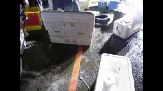 瑞光66海釣20120908赤鯮