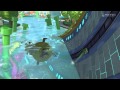 Mario Kart 8 Dodging Bombs full race Crazy Finish 1080P 60 FPS