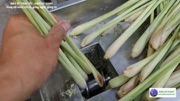 Máy ép trục vít Điện Cơ Xanh dùng vắt nước cốt sả, gừng, nghệ, lá dứa, dừa, cỏ lúa mì 0984467870