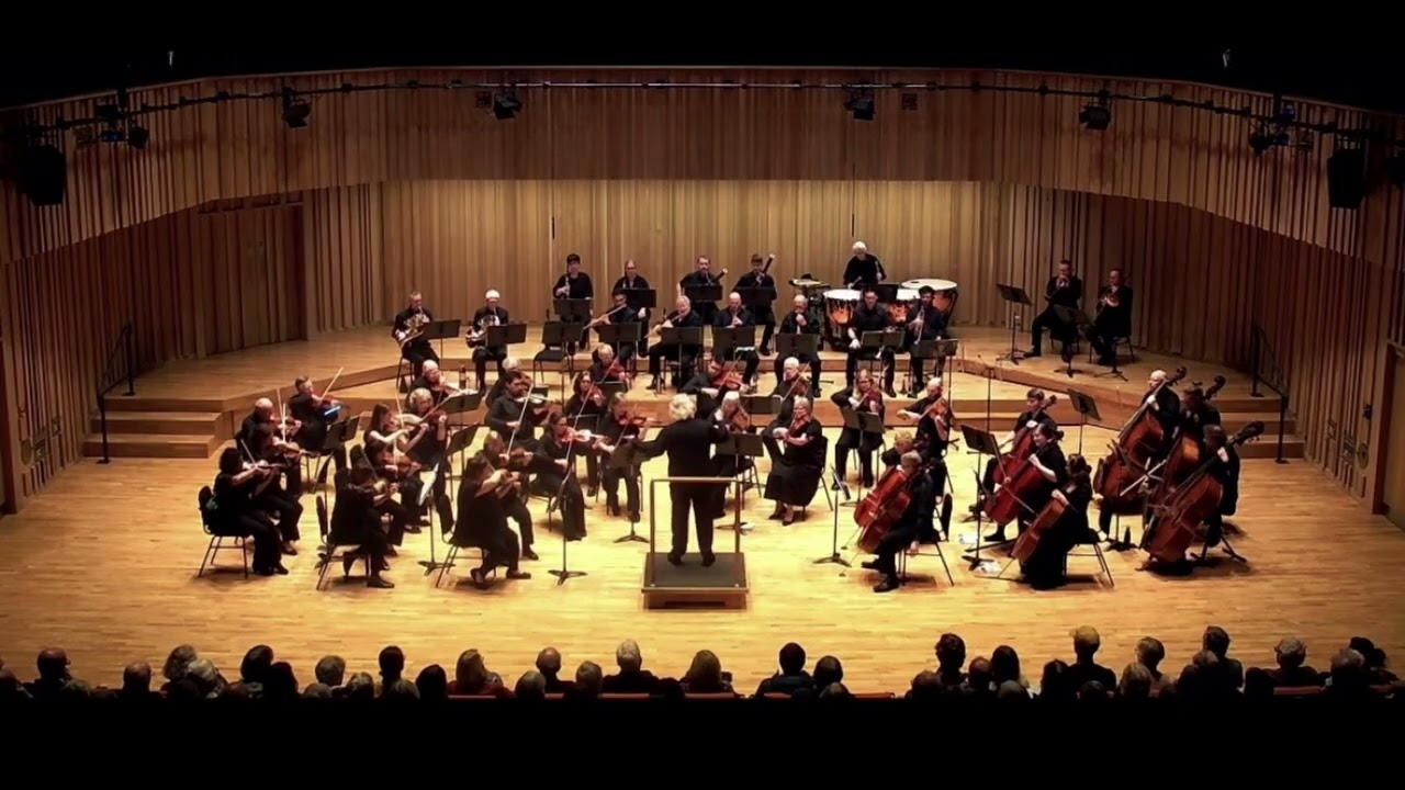 Brahms Symphony No. 1 in C minor | Liverpool Mozart Orchestra