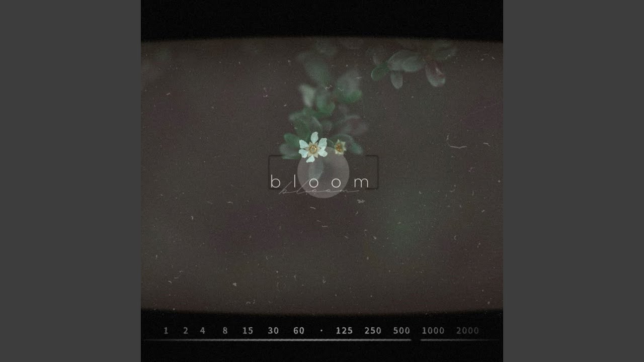 Watch Bloom on YouTube Watch Bloom on YouTube