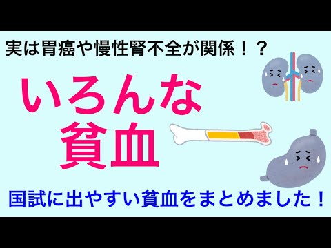 【いろんな貧血】これで貧血は完璧！