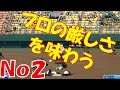 【パワプロ2016】NPB史上最弱ルーキーが5億円プレーヤーを目指す【No2】