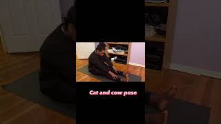 Day 2 Of The Yoga And Journaling Challenge By And . On May 6Th, It Was Cat Cow