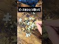 ☆やりたくなるジグソーパズル #magic #マジック #おもちゃ