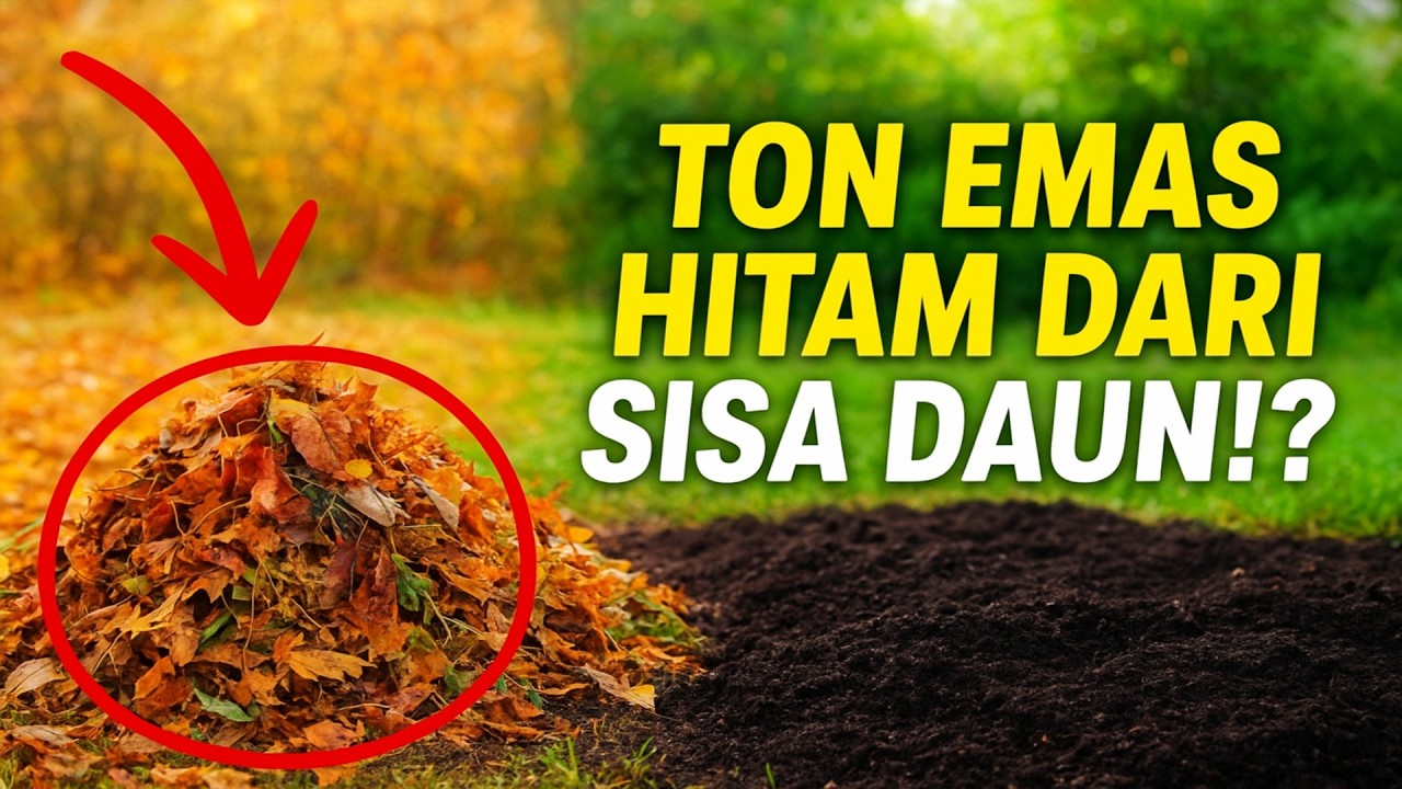 Cukup tumpuk saja semua sisa organik ini di musim gugur, dan di musim semi, Anda akan mendapatkan b