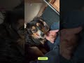 Hershey (JY26-94) video
