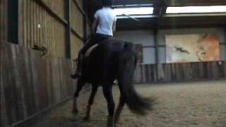 161008lesson3