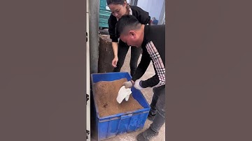 Forging a Blade Born for Precision.