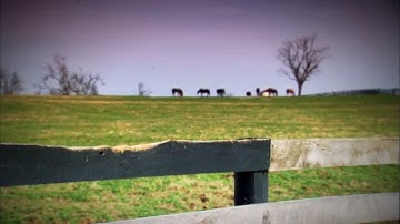 The Road to the Kentucky Derby Week 1 Intro