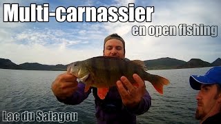 Pêche du brochet, sandre, silure et perche au leurre - Open fishing (multi-techniques)