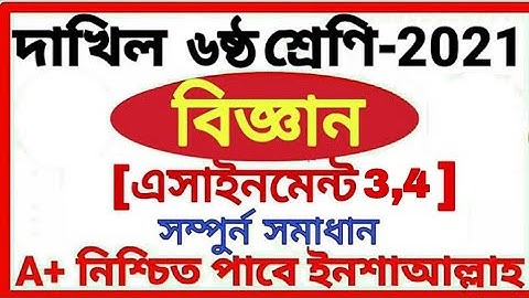 Class 6 Dakhil Science Assignment 3,4 Answer 2021 দাখিল ৬ষ্ট শ্রেণির Science এসাইনমেন্ট 3,4 উত্তর