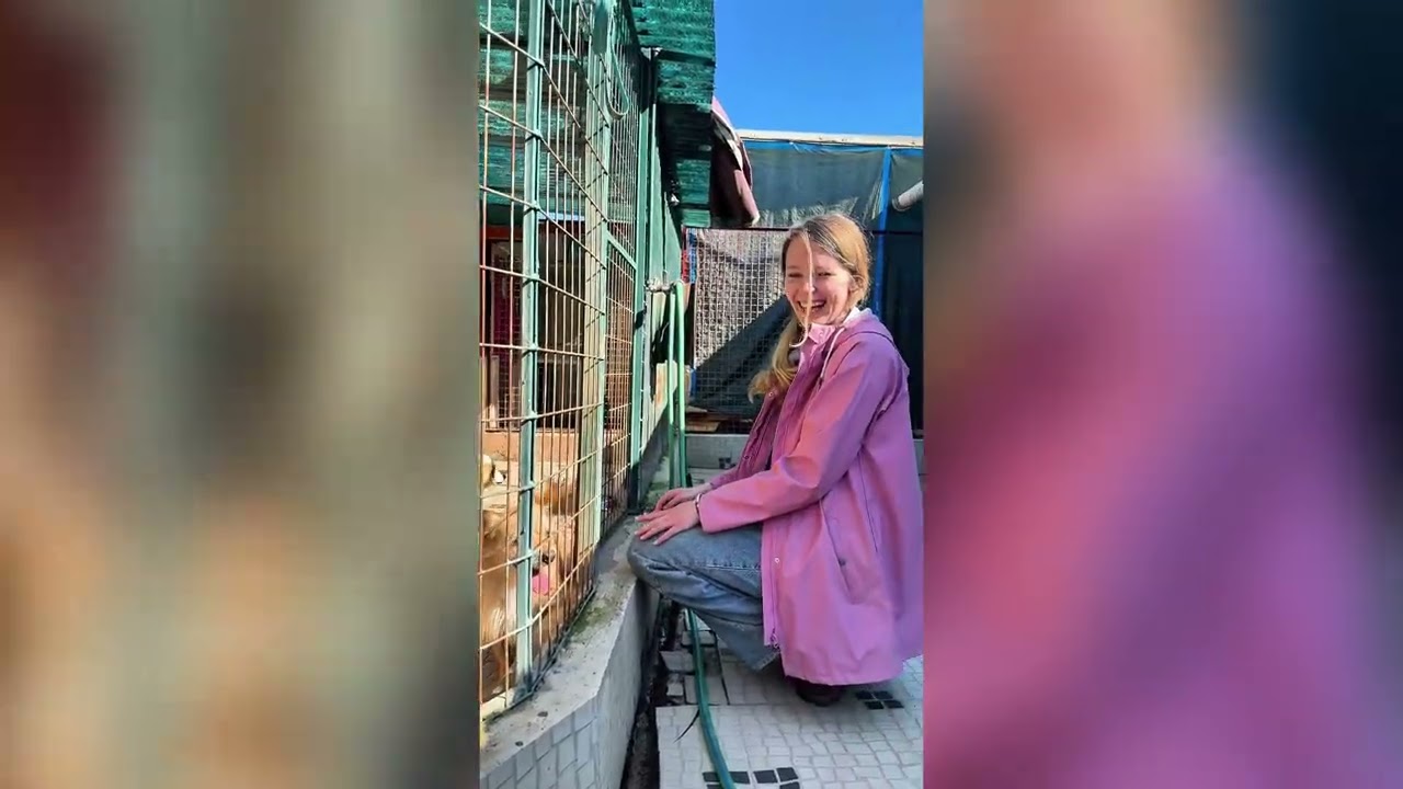 Animal Care  Volunteer Program.