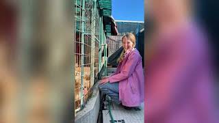 Animal Care  Volunteer Program.