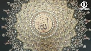 Gülni̇hal-3 Şair Mehmet Zeki Afşi̇n Yorum Osman Kavaklioğlu