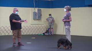 Eric Salas Dog Training workshop Day 1 (Establishing Respect)