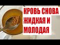 ГУСТАЯ КРОВЬ СТАНЕТ ЖИДКОЙ! НАВСЕГДА ЗАБУДЬ О ТРОМБАХ И ГУСТОЙ КРОВИ, ДЕЛАЕТ КРОВЬ МОЛОДОЙ!