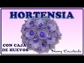 HORTENSIA CON CAJA DE HUEVOS