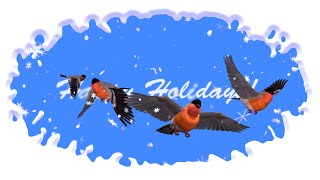 Happy Holidays - Greeting Animation - Bullfinch Birds