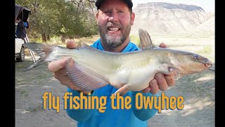 fly fishing the Owyhee oregon