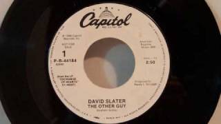 Video thumbnail of "David Slater - The Other Guy"