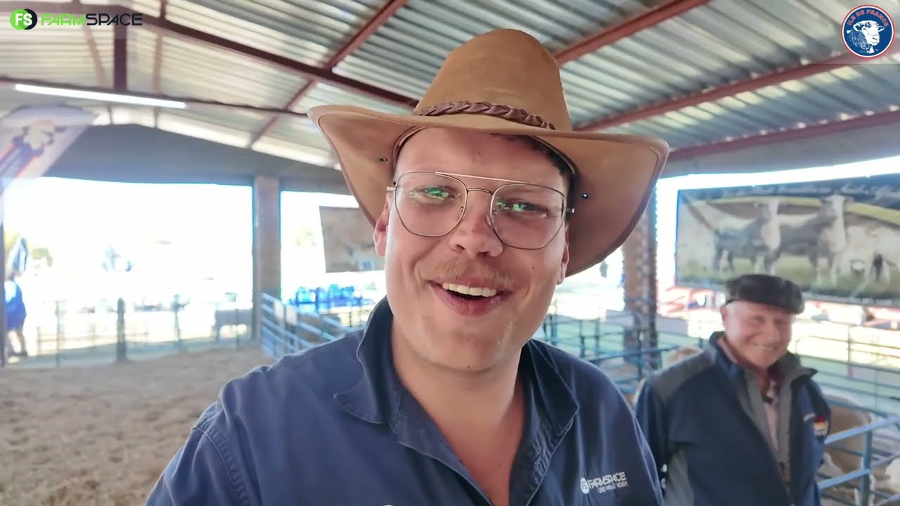 🐑 Wat maak Ile de France die vleiskoning? Ile de France