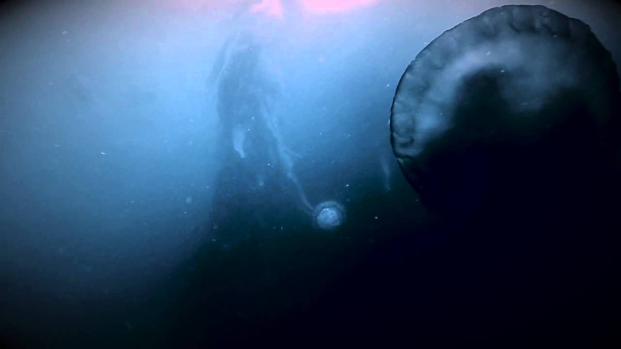 sharknado 5 Watery Space