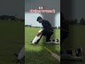जो देर से मिलता है !✨ #cricket #shorts #trendingshorts #highlights #song #sai academy players