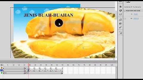Mudah!!! Tutorial Membuat Game Buah Adobe Flash Cs6.