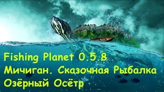 Fishing Planet (0.5.8). Мичиган. Озёрный Осётр.