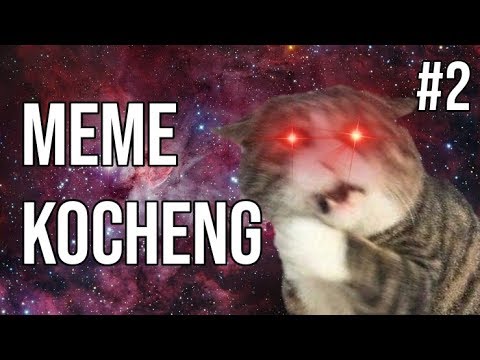 kocheng-oren-bar-bar-skip-!-meme-kucing-#2