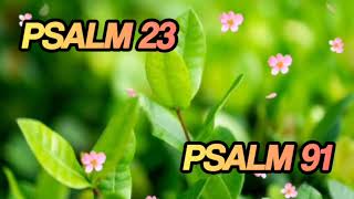 Psalm 23, Psalm 91 (Psalms for Sleep Meditation) with soft music screenshot 2