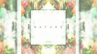 The Citrus Clouds - Nature Instrumental