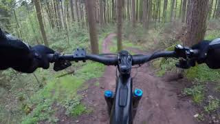 DOWNHILL &quot;Die Anna - Weishauswald Trier&quot; 29.04.2023
