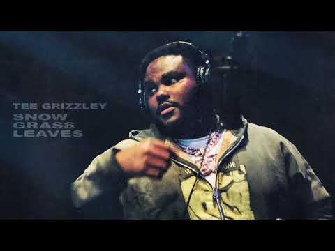 Tee Grizzley - Snow Grass Leaves [Official Visualizer]