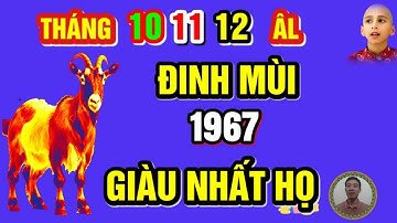 ☯ Tử Vi Tháng 10 11 12 Âm, Tuổi ĐINH MÙI 1967, Bất Ngờ TRÚNG LỚN Sắm Nhà Lầu, Xe Sang, Cực Giàu Có
