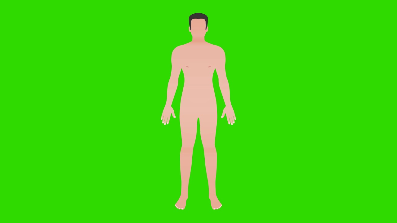 Man Body Animation - Green Screen | Animation Video | After Effect ...