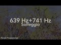 639 + 741 Hz Healing Frequencies | Emotional Clarity, Detox &amp; Inner Balance | 1 Hour