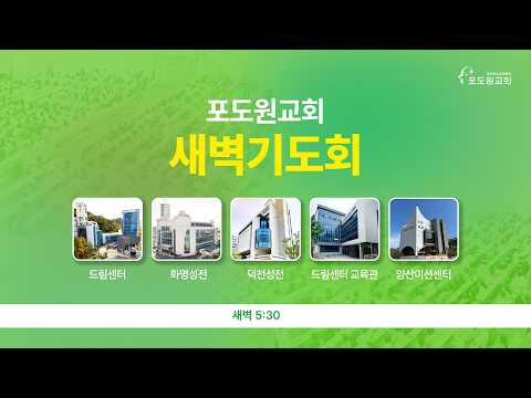 2026.04.05 포도원교회 새벽기도회