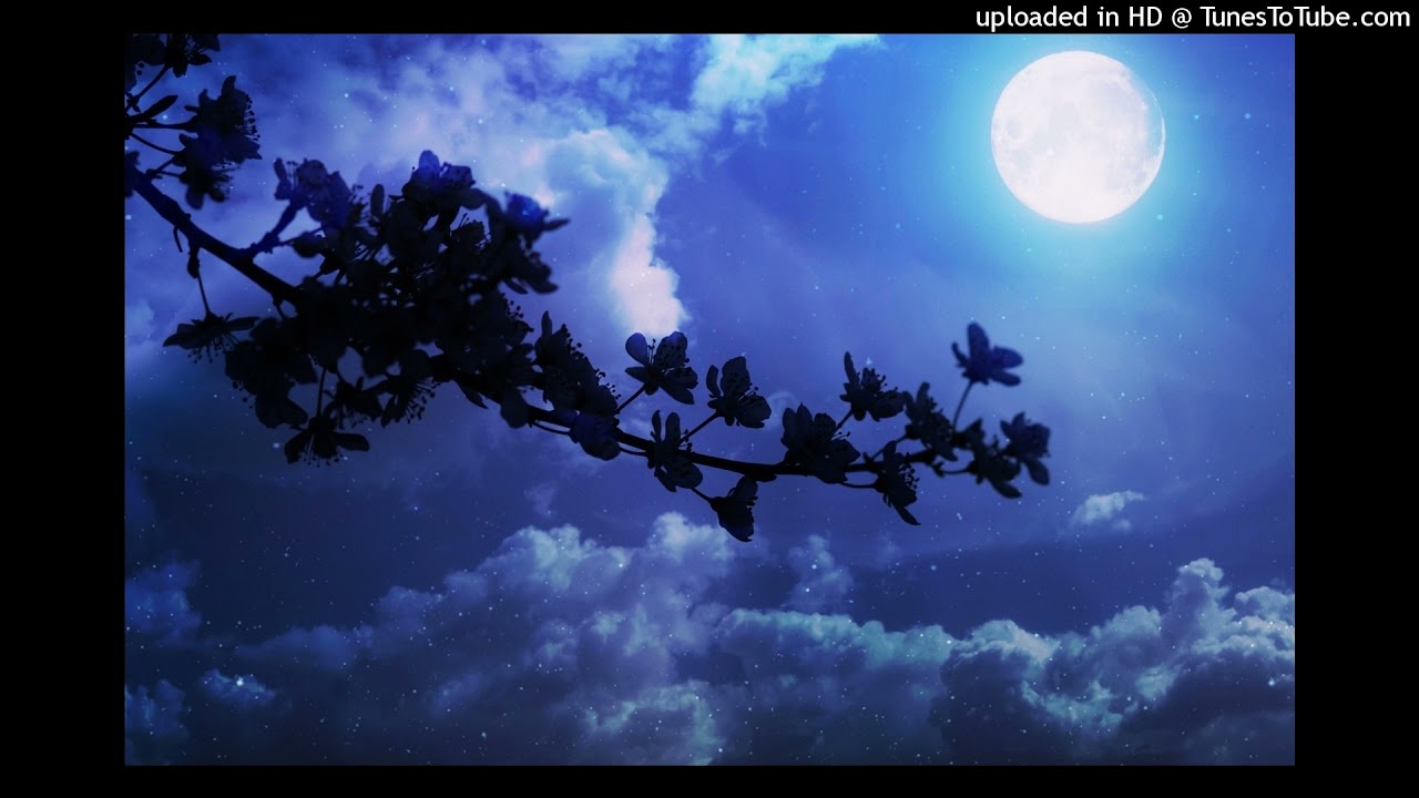 Black Smurf x Xavier Wulf type beat|smoking by the cherry blossom