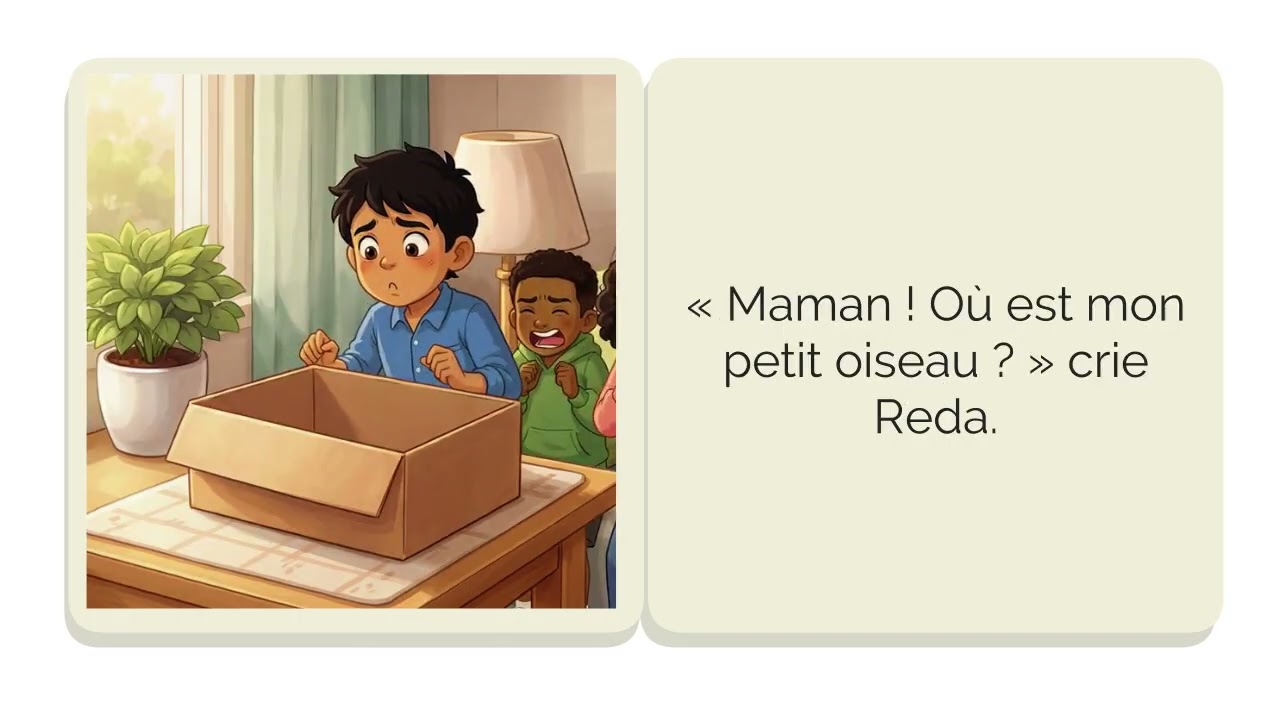 Histoire Reda et le petit oiseau l Episode 4 l Niveveau 2