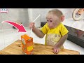 Smart monkey Lily knows how to insert a straw to drink milk