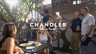 Chandler Like a Local: Brewery Edition