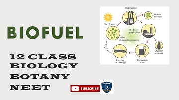 Biofuel I Principles and Processes of Biotechnology I Botany I Class 12 | TNSCERT/CBSE | NEET