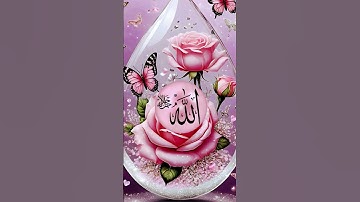 #allah #اكسبلور #القزابري #تيك_توك #اقنباسات #لايك #تلاوات_جميلة #دويتو #القارئ
