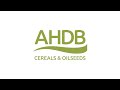 Hgca becomes a.b cereals  oilseeds