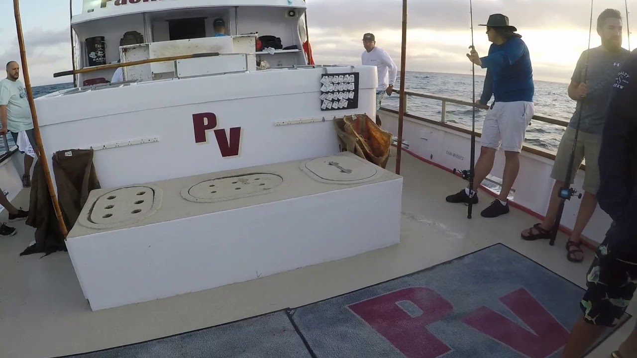 Pacific voyager sportfishing Clearance