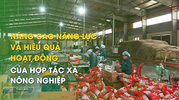 Nâng cao năng lực và hiệu quả hoạt động của hợp tác xã Nông nghiệp | Thái Nguyên TV