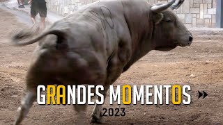 🤩 GRANDES MOMENTOS de 2023 · Octava parte by TOROS EN ESPAÑA TV 557,506 views 4 months ago 11 minutes, 46 seconds