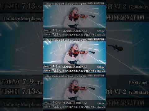 Unlucky Morpheus 15th Anniversary Live Tour「REINCARNATION」information #shorts